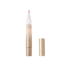 Load image into Gallery viewer, Plumping Lip Glaze