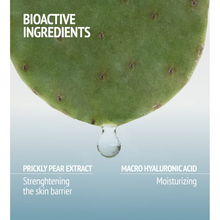 Load image into Gallery viewer, HYDRAMEMORY WATER SOURCE SERUM