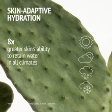 Load image into Gallery viewer, Light Sorbet Cream