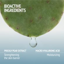 Load image into Gallery viewer, Hydramemory Rich Sorbet Cream