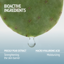 Load image into Gallery viewer, Hydra Plump Mask