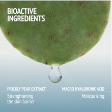 Load image into Gallery viewer, Light Sorbet Cream