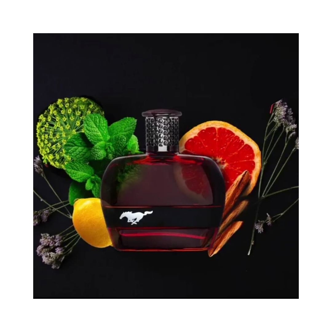 Mustang Black Perfume Price MUSTANG FORD PERFORMANCE Men EDT 100ML