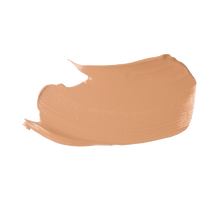 Load image into Gallery viewer, Stay All Day® FOUNDATION & CONCEALER