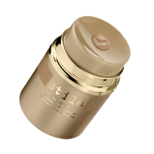 Load image into Gallery viewer, Stay All Day® FOUNDATION & CONCEALER