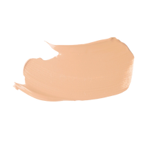 Load image into Gallery viewer, Stay All Day® FOUNDATION & CONCEALER