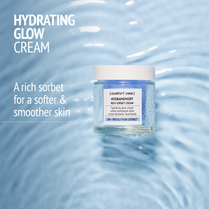 Hydramemory Rich Sorbet Cream