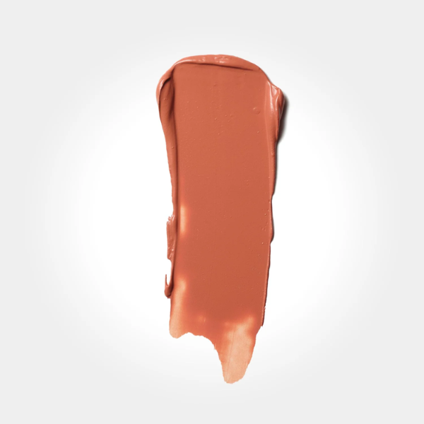 STAY ALL DAY™ LIQUID LIPSTICK