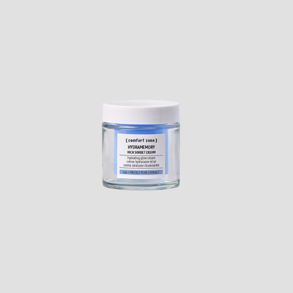 Hydramemory Rich Sorbet Cream